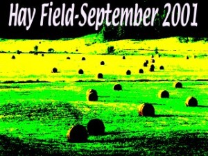 Hay Field School Logo